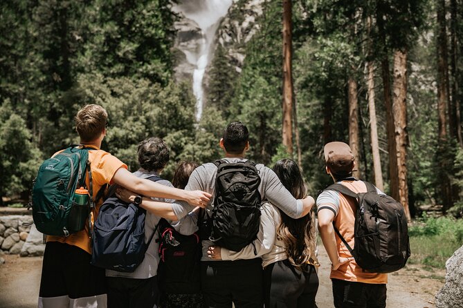 Yosemite Highlights & Giant Sequoias Day Tour from San Francisco - Bridalveil Fall, Sentinel Bridge, and the Valley Stops That Actually Matter