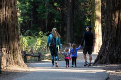 Yosemite Highlights & Giant Sequoias Day Tour from San Francisco - Early Entry and Tunnel View: The Classic Start That Saves Your Day