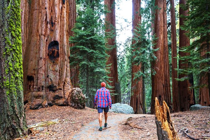 Yosemite National Park 2-Day Tour from San Francisco with Lodging - Food, Packing, and the Shoes Rule