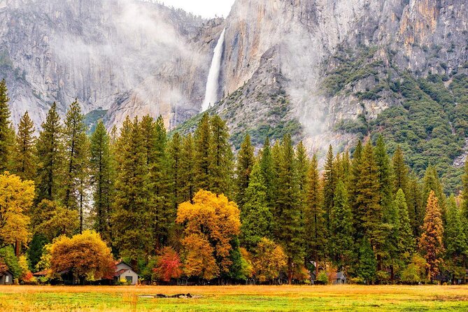 Yosemite National Park and Giant Sequoias Tour from San Jose - Key highlights you’ll actually feel during the day