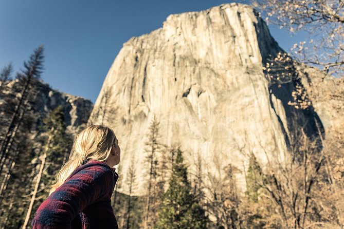 Yosemite National Park and Giant Sequoias Tour from San Jose - Why a San Jose day trip to Yosemite makes sense