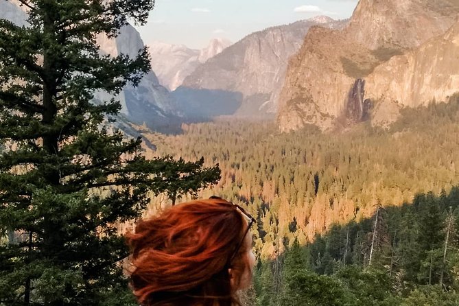Yosemite National Park and Giant Sequoias Tour from San Jose - Tuolumne Grove of Giant Sequoias: 1 hour 15 minutes of quiet, ancient scale