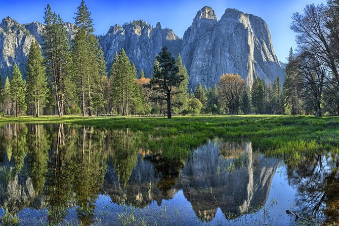 Yosemite National Park: Full Day Tour from San Francisco - Price and what’s included: when $199.29 feels fair