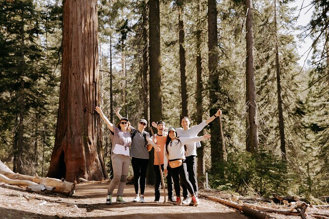 Yosemite National Park & Giant Sequoias 2-Day Semi-Guided Tour - The “semi-guided” format: what it means for your day