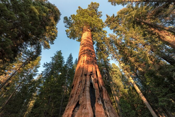 Yosemite National Park Self Guided Driving Audio Tour Guide - Stop-by-stop: what you’ll see and what the audio adds