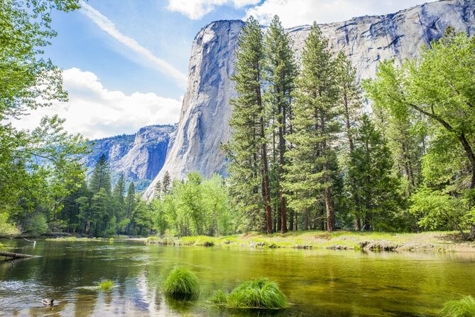 Yosemite National Park Self Guided Driving Audio Tour Guide - What to know about park passes and stop entry