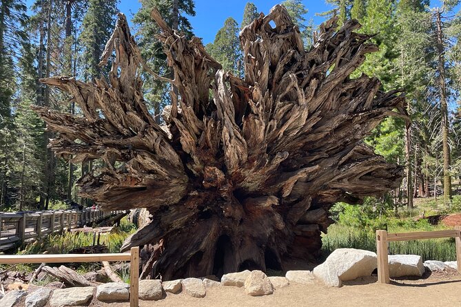 Yosemite National Park & Sequoias Private Tour from San Francisco - Tunnel View: the fastest way to understand Yosemite Valley