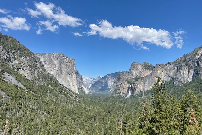 Yosemite National Park & Sequoias Private Tour from San Francisco - Sequoias first: Tuolumne Grove or Mariposa Grove depending on entry
