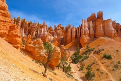 Zion & Bryce Canyon National Parks Day Tour from Las Vegas - Checkerboard Mesa: the iconic rock formation stop