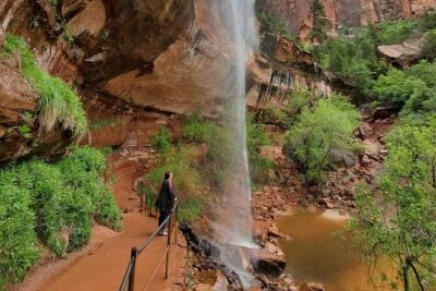 Zion National Park Full Day Insider Tour - What Your Guide Teaches in Zion (Not Just the Usual Points)