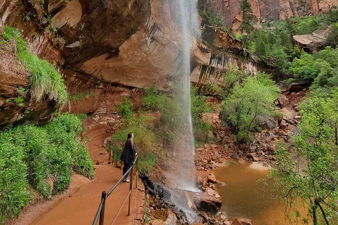 Zion National Park Full Day Insider Tour - What Your Guide Teaches in Zion (Not Just the Usual Points)