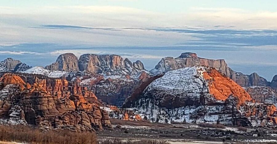Zion National Park - Kolob Terrace: 1/2 Day Sightseeing Tour - What the 4-hour format really gets you (and what it skips)