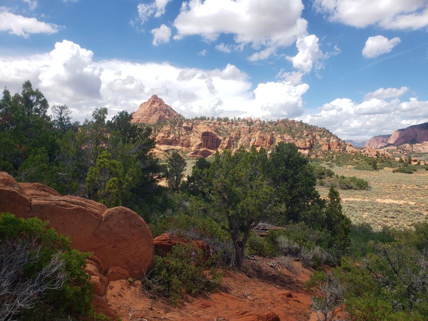 Zion National Park - Kolob Terrace: 1/2 Day Sightseeing Tour - Private tour benefits you’ll feel from minute one