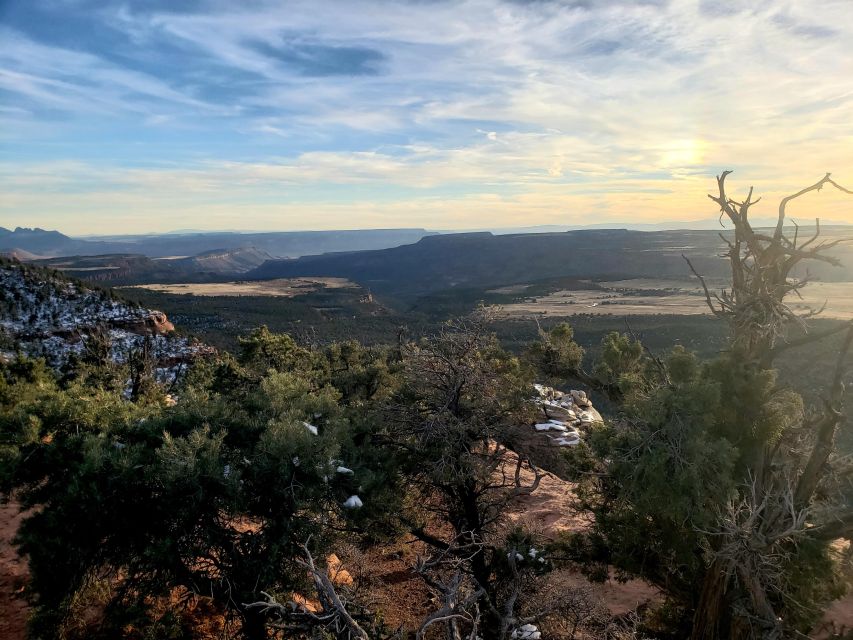 Zion National Park - Kolob Terrace: 1/2 Day Sightseeing Tour - Price and value: what $200 per person gets you