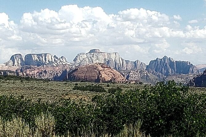 Zion National Park/Kolob Terrace Private 1/2 Day Sightseeing Tour - Flexibility is the real luxury in a half-day