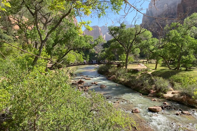 Zion National Park: Private Guided Hike & Picnic - West Rim Trail to Scout’s Lookout: the big-view portion, planned for your pace
