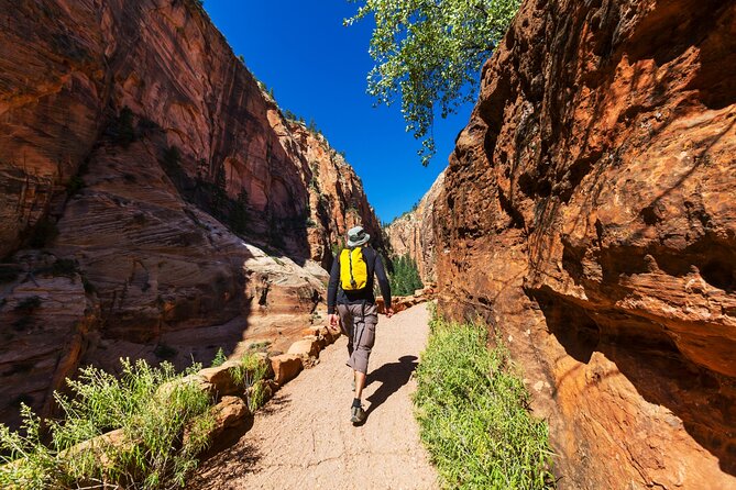 Zion National Park Self-Guided Driving & Shuttling Tour - Driving vs Shuttle in Zion: Seasonal Rules That Change Your Route