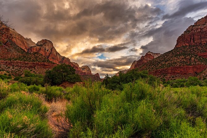 Zion National Park Self-Guided Driving & Shuttling Tour - Pa’rus Trail and Watchman Trail: Easy Feet, Big Views