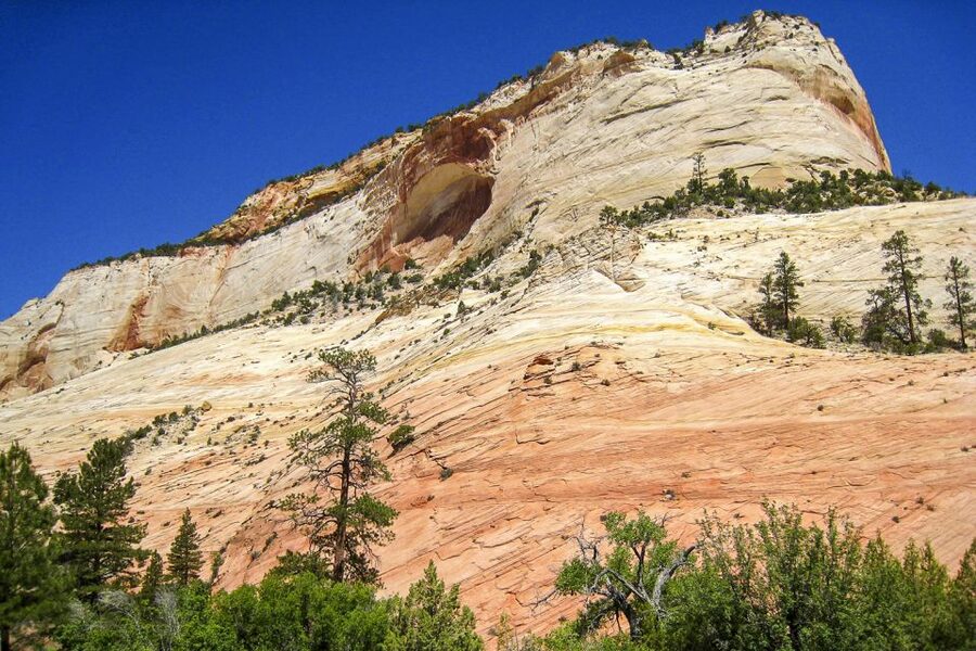 Zion National Park Small Group Adventure from Las Vegas - Key highlights that make this Zion trip worth your time