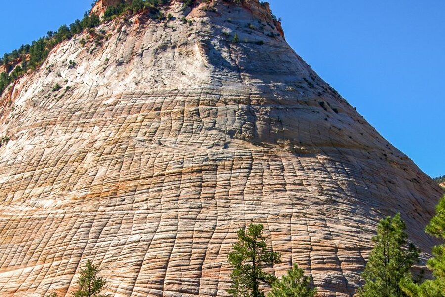 Zion National Park Small Group Adventure from Las Vegas - Timing and your energy plan: what to do about the late lunch