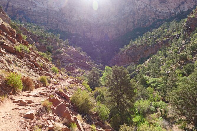 Zion National Park Small Group Tour from Las Vegas - Why this Zion day trip from Las Vegas actually feels easy