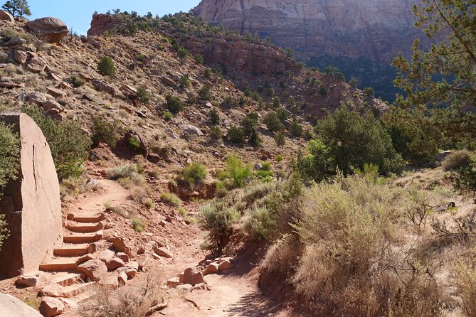 Zion National Park Small Group Tour from Las Vegas - The Zion Shuttle: the real superpower of the day