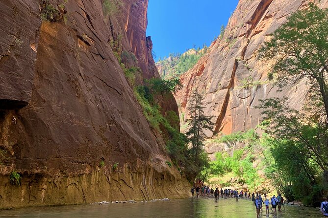 Zion National Park Small Group Tour from Las Vegas - Checkerboard Mesa and the quick scenic stop strategy