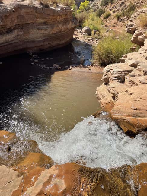 Zion National Park: Waterfall Hummer Tour with Pools - What to bring so the day feels easy, not stressful